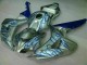 Blau Flamme Silber CBR 1000 RR 06-07 Motorrad Verkleidungen Blau Flamme Silber CBR 1000 RR 06-07 Motorrad Verkleidungen