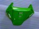 Grün CBR 1000 RR 06-07 Motorrad Verkleidungen