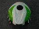 Grün CBR 600 RR 07-08 Motorrad Verkleidungen Grün CBR 600 RR 07-08 Motorrad Verkleidungen