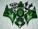 Grün CBR 600 RR 09-12 Motorrad Verkleidungen