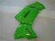 Grün EX650 06-08 Motorrad Verkleidung Grün EX650 06-08 Motorrad Verkleidung