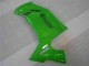 Grün EX650 06-08 Motorrad Verkleidung Grün EX650 06-08 Motorrad Verkleidung