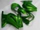 Grün Ninja EX250 08-12 Motorrad Verkleidung Grün Ninja EX250 08-12 Motorrad Verkleidung