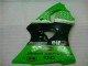 Grün Schwarz ZX6R 00-02 Motorrad Verkleidungen & Plastik Grün Schwarz ZX6R 00-02 Motorrad Verkleidungen & Plastik
