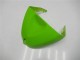 Grün Schwarz ZX6R 05-06 Motorrad Verkleidung Grün Schwarz ZX6R 05-06 Motorrad Verkleidung