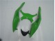 Grün Schwarz ZX6R 09-12 Motorrad Vollverkleidung Grün Schwarz ZX6R 09-12 Motorrad Vollverkleidung
