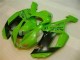 Grün Schwarzer Dunlop ZX6R 07-08 Motorrad Verkleidungen Grün Schwarzer Dunlop ZX6R 07-08 Motorrad Verkleidungen