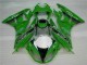 Grün Schwarzer LeoVince ZX6R 09-12 Motorrad Verkleidungen Grün Schwarzer LeoVince ZX6R 09-12 Motorrad Verkleidungen
