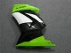 Grün Schwarzer Ninja EX250 08-12 Motorrad Verkleidungen Grün Schwarzer Ninja EX250 08-12 Motorrad Verkleidungen