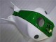 Grün Weiß CBR 1000 RR 04-05 Motorrad Verkleidungen Grün Weiß CBR 1000 RR 04-05 Motorrad Verkleidungen