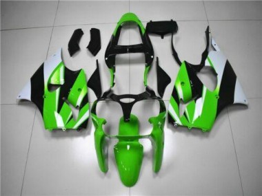 Grün Weiß Schwarz ZX6R 00-02 Motorrad Verkleidungen