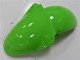 Grün ZX6R 00-02 Motorrad Verkleidungen Grün ZX6R 00-02 Motorrad Verkleidungen
