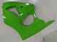 Grün ZX6R 00-02 Motorrad Verkleidungen Grün ZX6R 00-02 Motorrad Verkleidungen