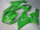 Grün ZX6R 05-06 Motorrad Verkleidungen & Plastik Grün ZX6R 05-06 Motorrad Verkleidungen & Plastik