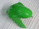 Grün ZX6R 05-06 Motorrad Verkleidungen & Plastik Grün ZX6R 05-06 Motorrad Verkleidungen & Plastik