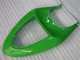 Grün ZX6R 05-06 Motorrad Verkleidungen & Plastik Grün ZX6R 05-06 Motorrad Verkleidungen & Plastik