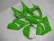 Grün ZX6R 05-06 Motorrad Vollverkleidung Grün ZX6R 05-06 Motorrad Vollverkleidung