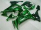 Grüne Flamme ZX10R 08-10 Motorrad Verkleidungen Grüne Flamme ZX10R 08-10 Motorrad Verkleidungen