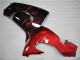 Rot Flamme ZX10R 06-07 Motorrad Verkleidungen Rot Flamme ZX10R 06-07 Motorrad Verkleidungen