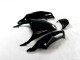 Schwarz Grün ZX14R ZZR 1400 12-21 Motorrad Verkleidungen Schwarz Grün ZX14R ZZR 1400 12-21 Motorrad Verkleidungen