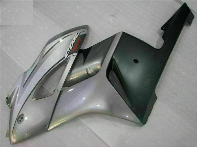 Silber CBR 1000 RR 04-05 Motorrad Verkleidungen