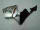 Silber CBR 600 RR 05-06 Motorrad Verkleidungen