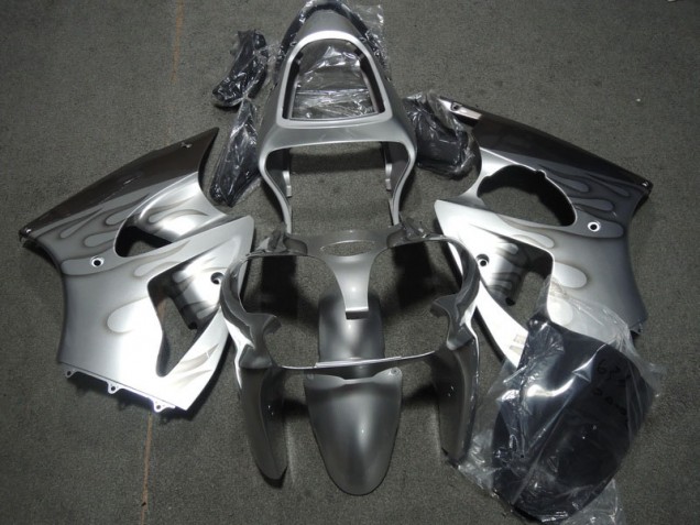 Silber Flamme ZX6R 00-02 Motorrad Verkleidungen Silber Flamme ZX6R 00-02 Motorrad Verkleidungen
