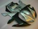Silber R1 02-03 Motorrad Verkleidung