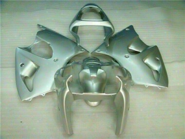 Silber ZX6R 00-02 Motorrad Verkleidungen